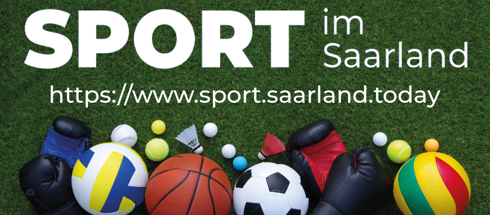 Sport Im Saarland